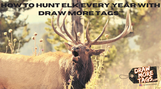 HOW TO HUNT ELK EVERY YEAR WITH DRAW MORE TAGS